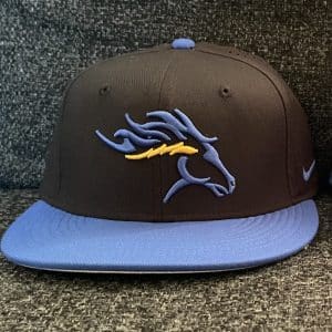 Agoura Baseball Spring Nike Hats - Black