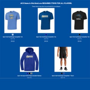 Agoura Baseball Store